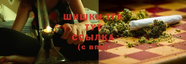 мдма Новодвинск