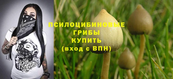 мдма Новодвинск