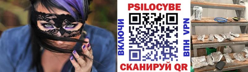 дарнет шоп  mega ONION  Псилоцибиновые грибы Magic Shrooms  Бирюч 